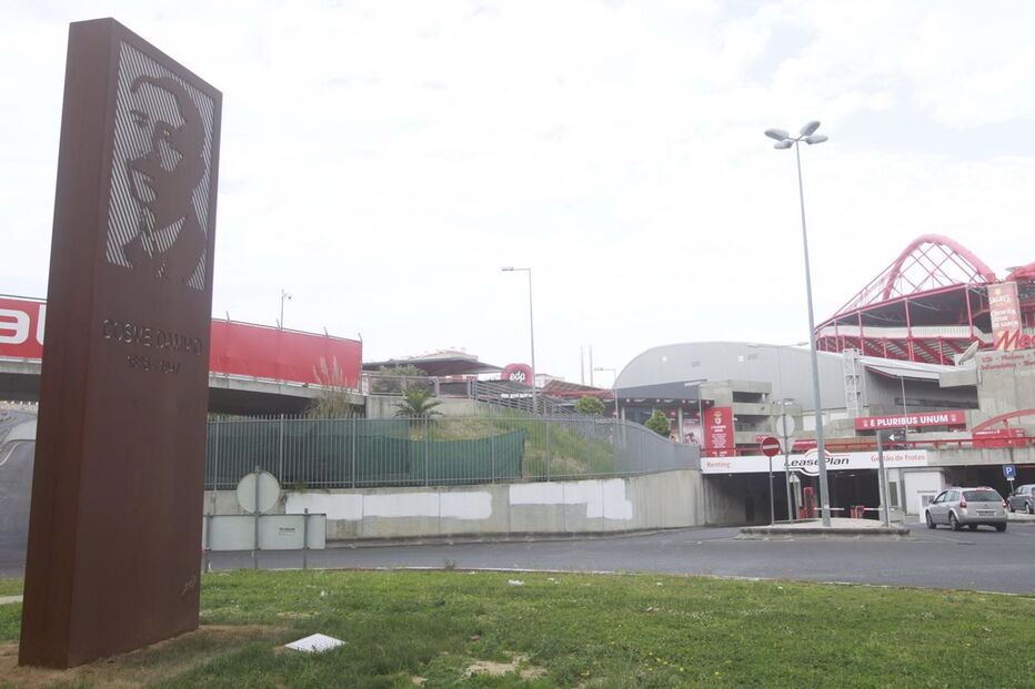 Rotunda, atropelamento, estádio da luz, adepto, sporting, morto