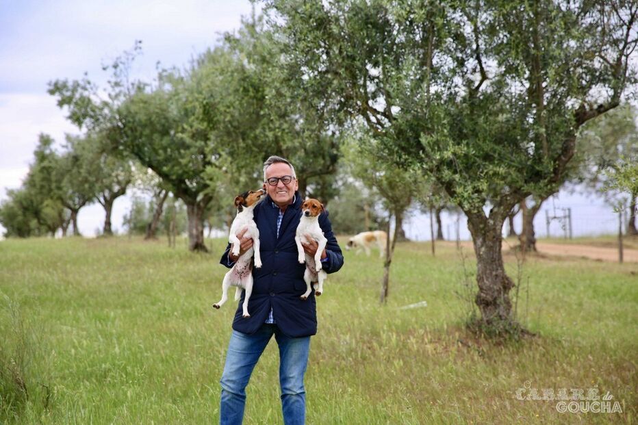 Manuel Luís Goucha, Tico, Andaluzia, Poejo, apresentador, O Cabaré, Teco, TVI, Rui Oliveira, questões sociais