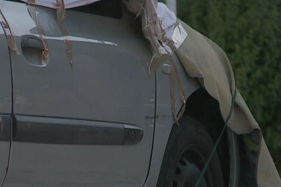 Polícia Judiciária, Sporting, Luz, desporto, atropelamento