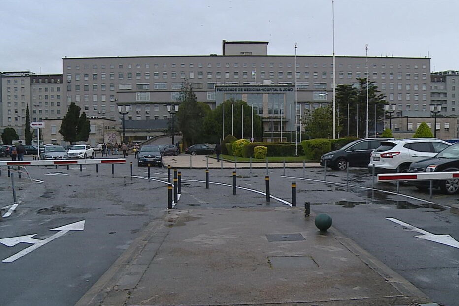 cão, animal, ataque, orelha, ferimentos, Arouca