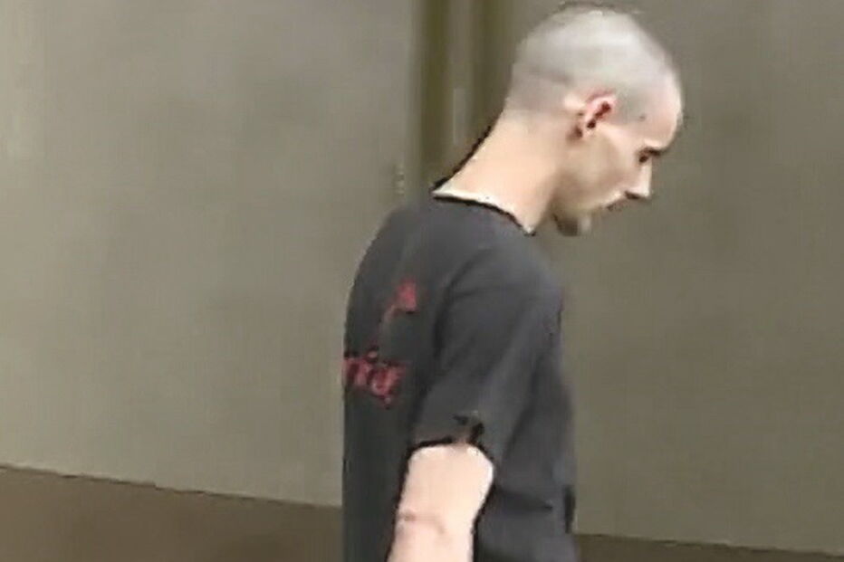 cão, animal rotweiller, ataque, morte, criança, desfigurada, internada