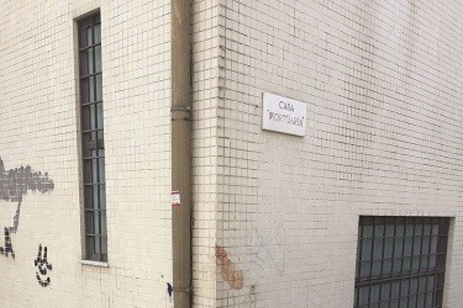 cão, animal rotweiller, ataque, morte, criança, desfigurada, internada