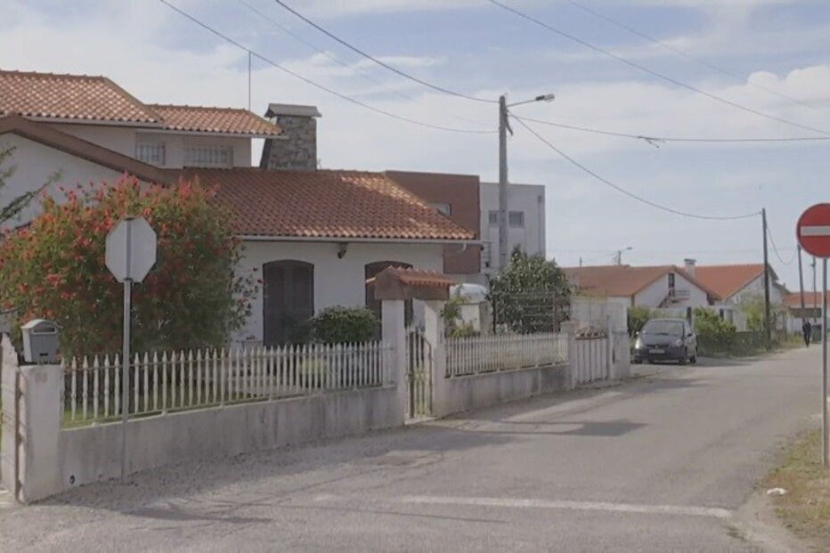 Cão de Fila de São Miguel, Gafanha da Encarnação, Ílhavo, ataque, cão