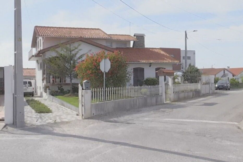 Cão de Fila de São Miguel, Gafanha da Encarnação, Ílhavo, ataque, cão