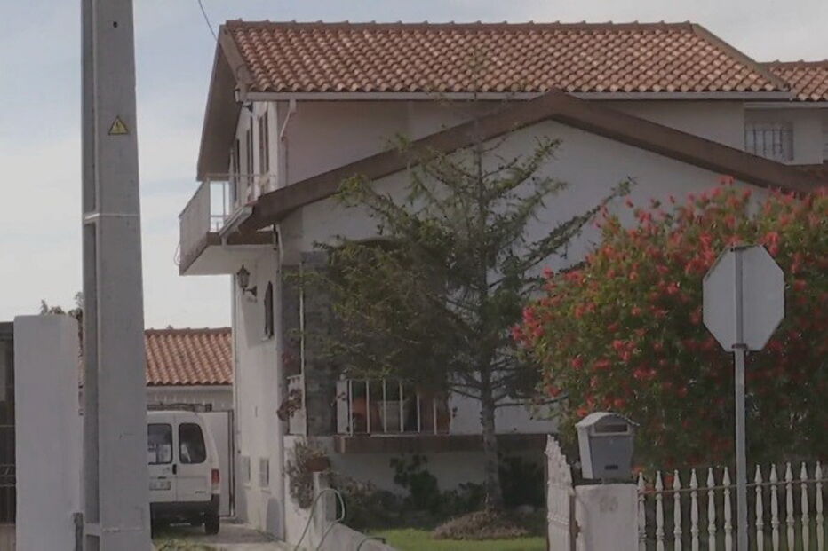 Cão de Fila de São Miguel, Gafanha da Encarnação, Ílhavo, ataque, cão