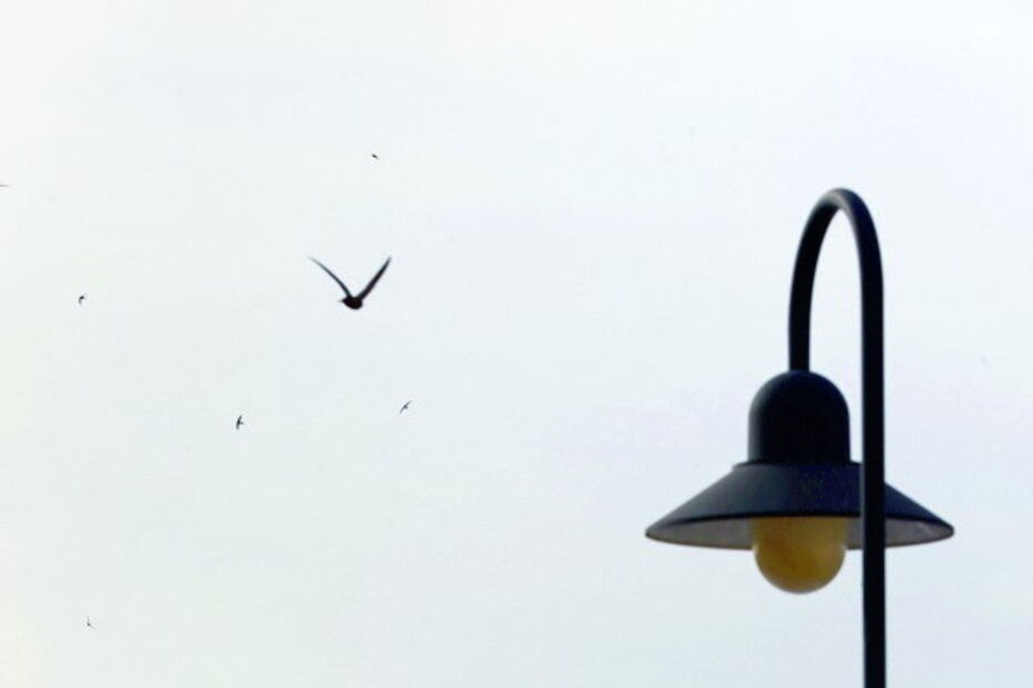 esplanadas, Minho, Algarve, bom tempo, sol, calor