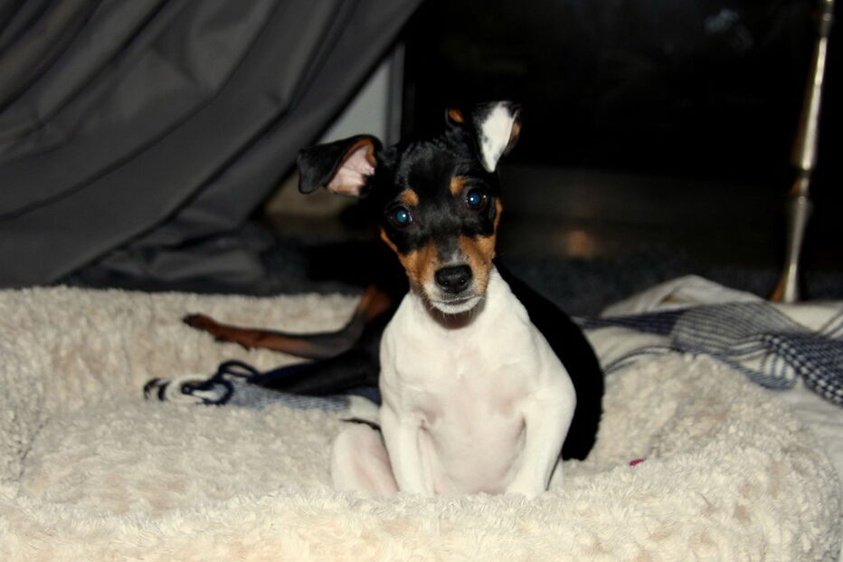 2017-04-27_10_03.26 Lola2.JPG