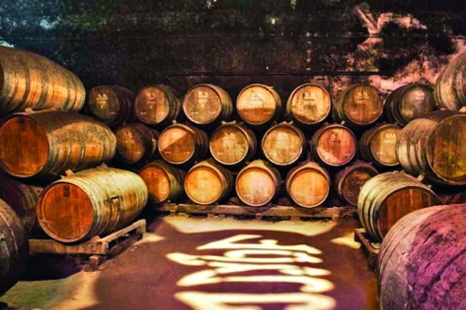 vinho, continentes, é para exportar, José Maria da Fonseca