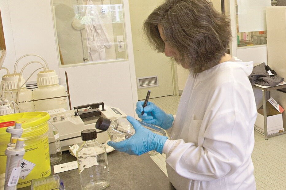 testes, sarampo, saúde, epidemia, Beatriz Sampaio, jovem, doença, Instituto Nacional de Saúde, Dr. Ricardo Jorge, custos, Lisboa