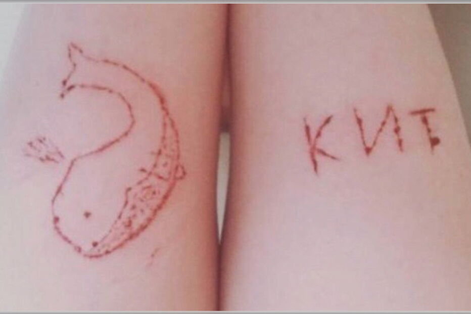 jogo da morte, jovens, crianças, adolescentes, baleia azul