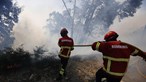 80 concelhos do interior Norte e Centro e Norte Alentejo em perigo máximo de incêndio