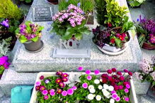 Túmulo da atriz no cemitério de Boissy sans Avoir, na periferia de Paris 