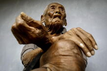 Proteção Civil, mau tempo, São Miguel, Açores, árvores