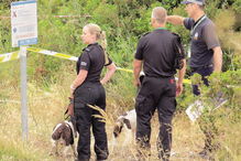 Cães da polícia inglesa resolveram crimes no estrangeiro mas não foram tidos em conta no Algarve