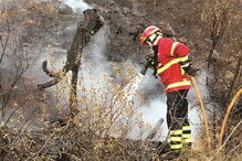 28 corporações em protesto    