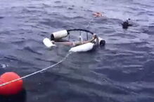 tubarão, Florida, Estados Unidos, Molly Cavalli, dentada, mordida, tornozelo