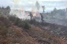 Incêndio, Trofa, Extreme Maia, Bombeiros