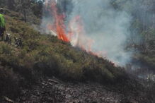 Incêndio, Trofa, Extreme Maia, Bombeiros