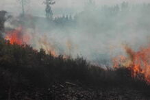 Incêndio, Trofa, Extreme Maia, Bombeiros
