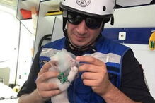 Xabregas, Lisboa, Bombeiros Sapadores de Lisboa, incêndio, salvamento, gato