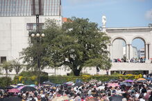 A azinheira monumental de Fátima