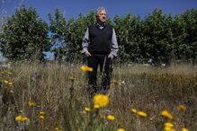 2017-05-09_12_42.14 Manuel Tavares cama Jacinta 2 morreu.JPG