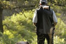 Caçadores vão ser obrigados a fazer-se acompanhar da autorização de caça  