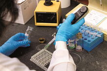 Salários dos investigadores com doutoramento vão subir substancialmente após a integração