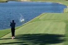 TPC Sawgrass, Estados Unidos, desporto, golfe, morte, pato