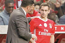 Rui Vitória, Benfica, Nélson Semedo, Seixal, Lindelof, Grimaldo, Champions, José Gomes, Zé Golos, Zivkovic, Taça, Cervi, desporto, futebol