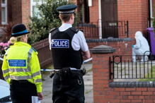 American Bully, Liverpool, Reino Unido, cães perigosos, cão, cães, 2 anos, bebé, atacada, ataque, grave, casa