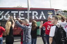 Benfica, águias, futebol, desporto, tetracampeõs, homenagem