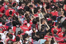 Adeptos do Benfica