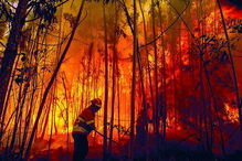 Incendiário está em liberdade 