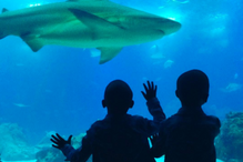 Lisboa, Madonna, Portugal, Oceanário, Ritz