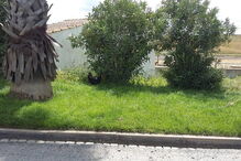 A galinha de Luís Brito