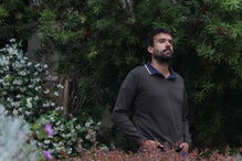 Miguel Araújo