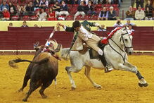 Corrida Vidas do CM, Campo Pequeno, Lisboa, tourada, cavaleiros, touros, Forcados Amadores de Lisboa, Forcados Amadores de Évora