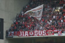 As melhores imagens do Boavista-Benfica