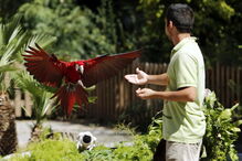 Jardim Zoológico, Zoo, animais, Lisboa