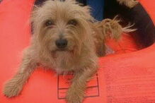 2017-05-30_13_47.35 Spike2.jpg