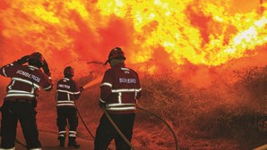 Trinta concelhos de seis distritos do continente em risco muito elevado de incêndio