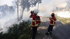 Cerca de 70 concelhos do interior Norte, Centro e Alto Alentejo em risco máximo de incêndio 