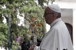 Papa Francisco no Santuário de Fátima