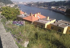 Parcela da calçada da Arrábida tem cerca de 1620 m2 e uma vista privilegiada para o rio Douro