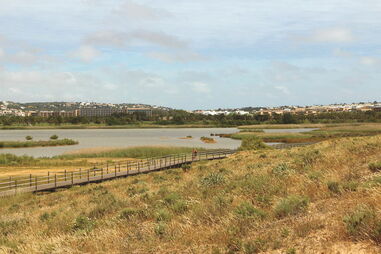 Zona é considerada pela associação Almargem como “uma das únicas ainda livre de betão na costa sul algarvia”