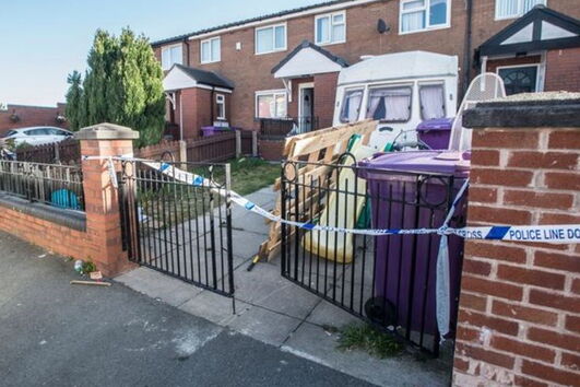 American Bully, Liverpool, Reino Unido, cães perigosos, cão, cães, 2 anos, bebé, atacada, ataque, grave, casa