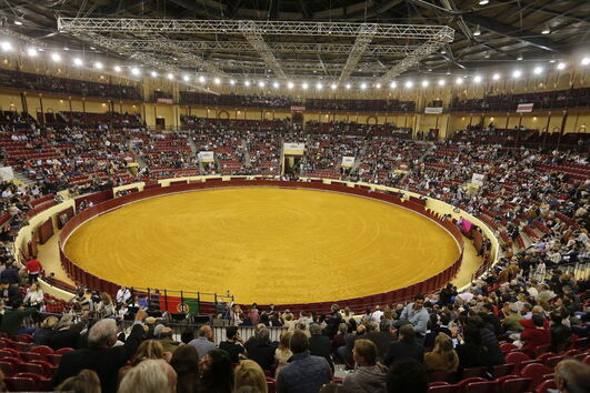 Corrida Vidas do CM, Campo Pequeno, Lisboa, tourada, cavaleiros, touros, Forcados Amadores de Lisboa, Forcados Amadores de Évora