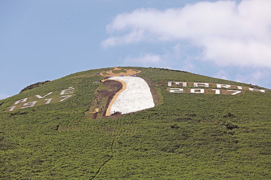 Imagem da santa já tinha ontem formas distintas 