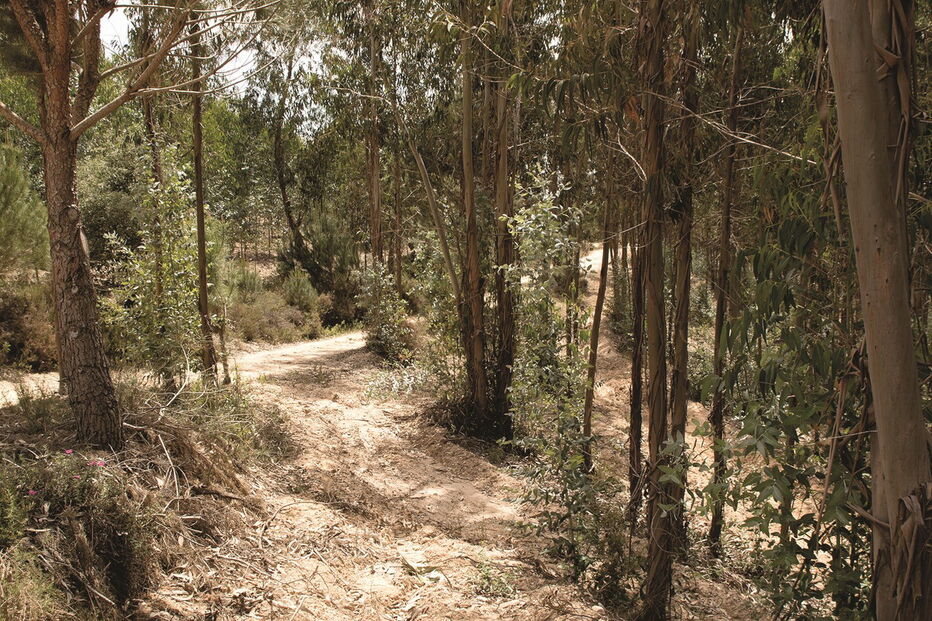 Local onde o taxista foi encontrado morto